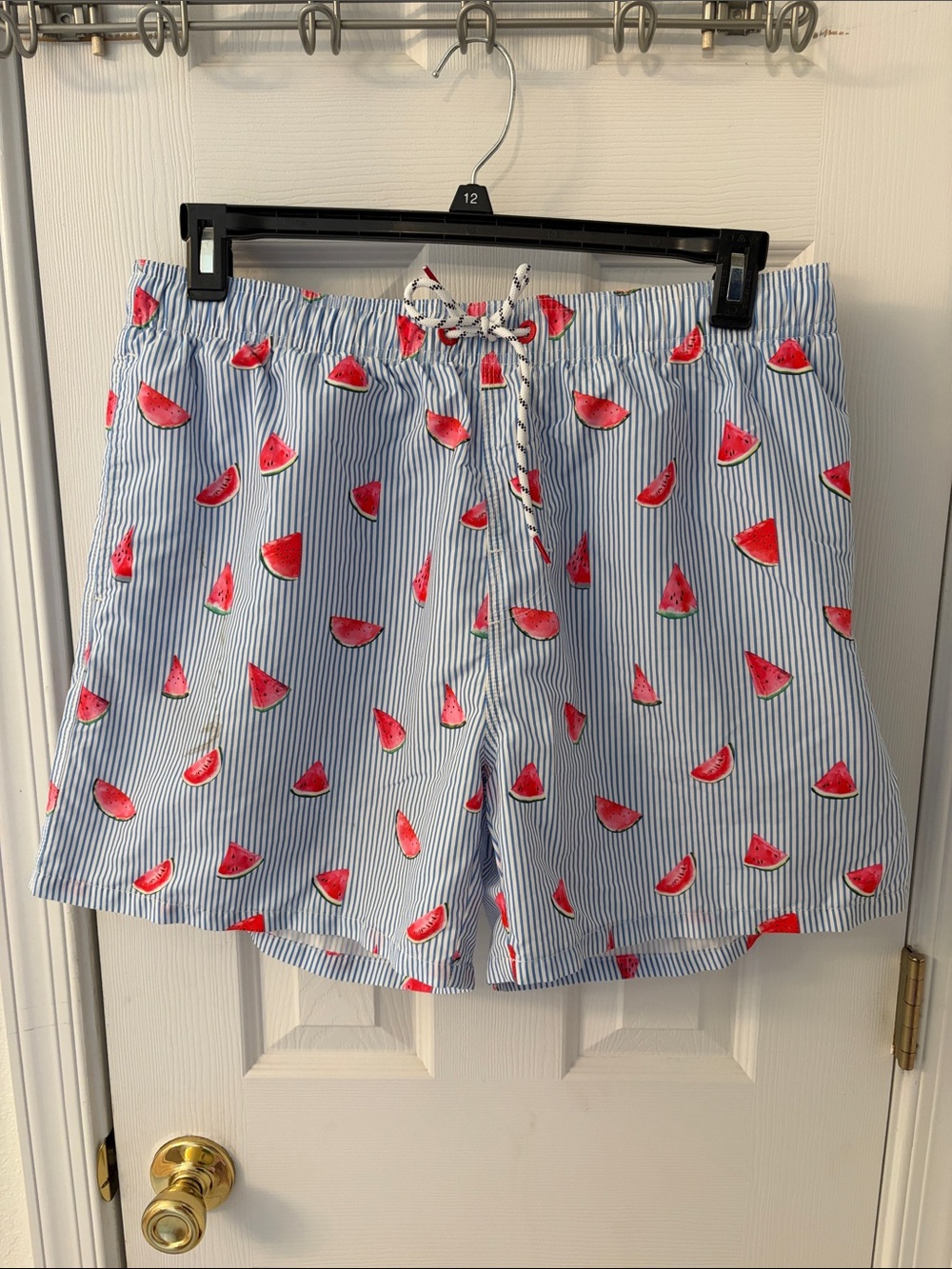 SHEIN Light Blue & White Striped Swim Trunks with Red Watermelon Slices